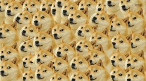 Создать мем: много doge, мем доги, догги