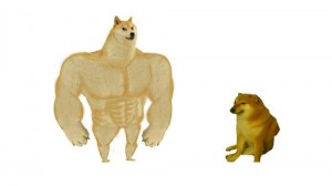 Create meme: inflated doge, doge Jock, Jock the dog and you learn the pattern