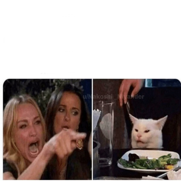 Create meme: meme the cat and two girls, girls and cat meme, cat meme 