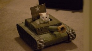 Create meme: tanks tanks, cat tank, the cat in the tank