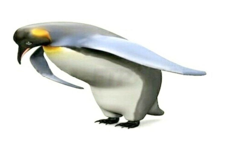 Создать мем: пингвин смешной, пингвин спасибо, птица пингвин