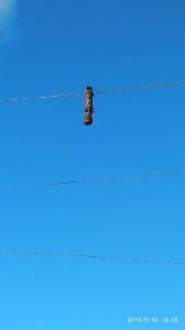 Create meme: the wind in the Tomsk power lines, hawk on the wires