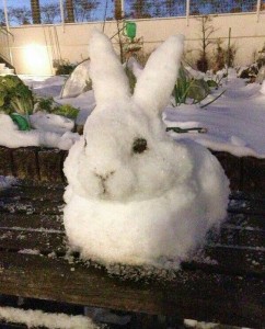 Создать мем: снежок заяц, зайчик из снега, снежный заяц