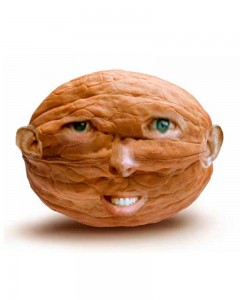Create meme: walnut in shell, walnut, walnut on white background