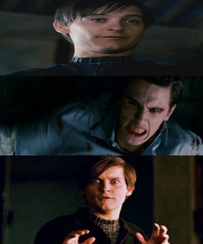 Create meme: Tobey Maguire , Tobey Maguire spider man 3, a frame from the movie