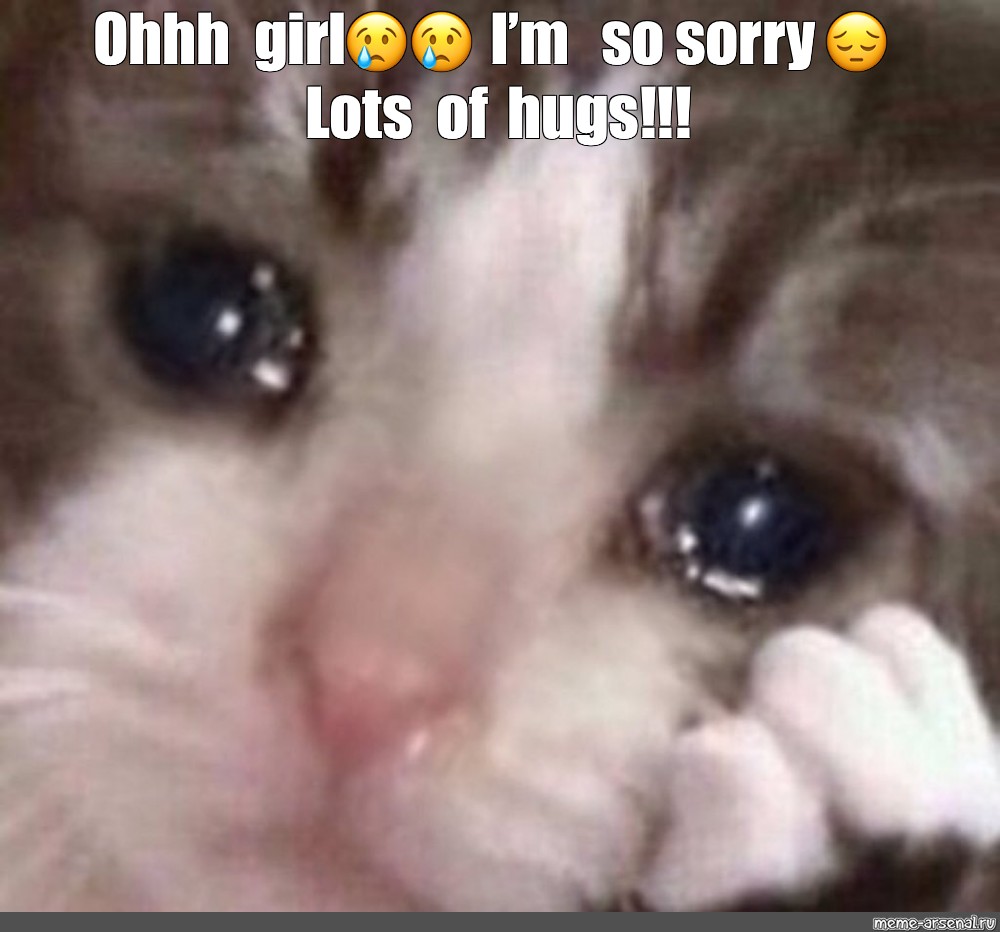 Sorry cat girl. : r/meme