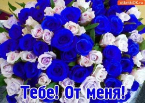 Создать мем: красивый букет, голубые цветы букет, букет из синих роз