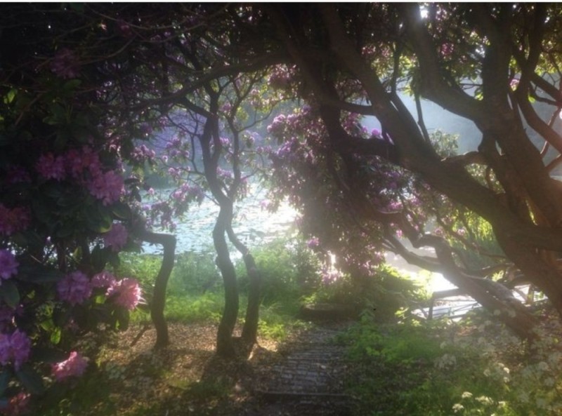 Create meme: chenille arboretum pézanin dompierre ormes, nature beautiful places, aesthetics of goblincore nature