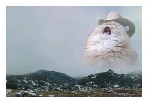 Создать мем: кричащий кот в шляпе, кричащий кот, орущий кот в шляпе