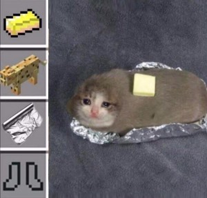 Создать мем: sad cat meme в банке, sad cat мем, плачущий кот мем