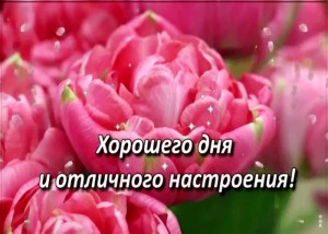 Создать мем: открытки хорошего, хорошего дня и настроения, открытки хорошего дня и настроения