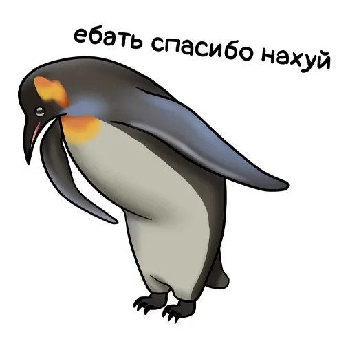 Create meme: penguin , penguin bow, meme with a penguin thank you