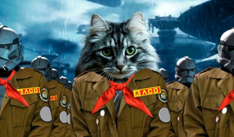 Создать мем: кот ссср, генерал дроздовский, кот фашист