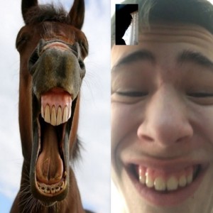Создать мем: лошадь ржет мем, смешные лошади, конь ржет