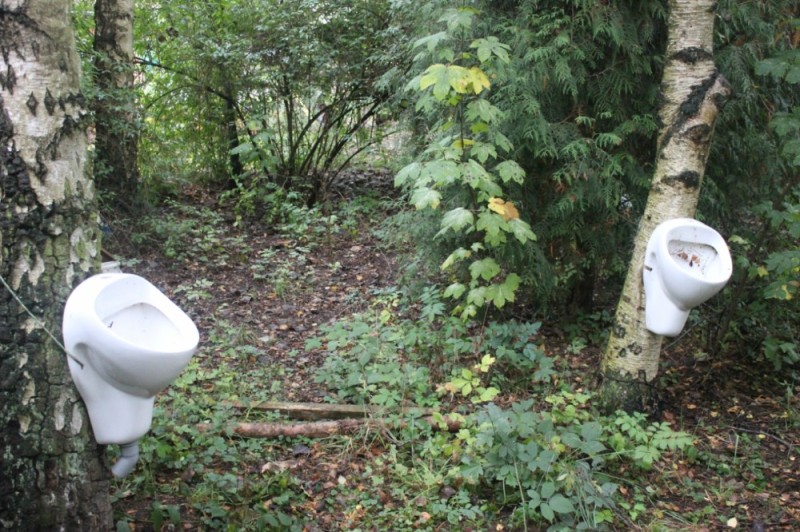 Create meme: toilet in the woods, country toilet, toilet bowl in the forest
