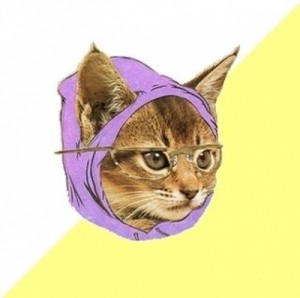 Create meme: hipster cat , kitty , cat meme 