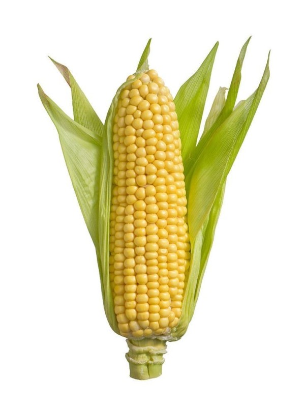 Create meme: corn, corn background, sweet corn