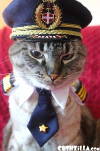 Создать мем: hat, cat, костюм для кота