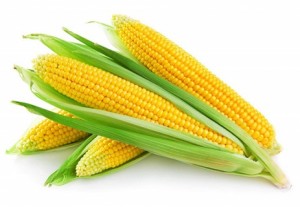 Create meme: sweetcorn, corn photo on a white background, boiled corn APG