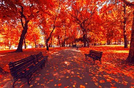 Create meme: autumn photo, photos of autumn's beautiful, autumn