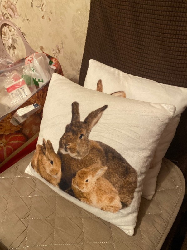 Create meme: rabbit pillow, rabbit , rabbit decorative