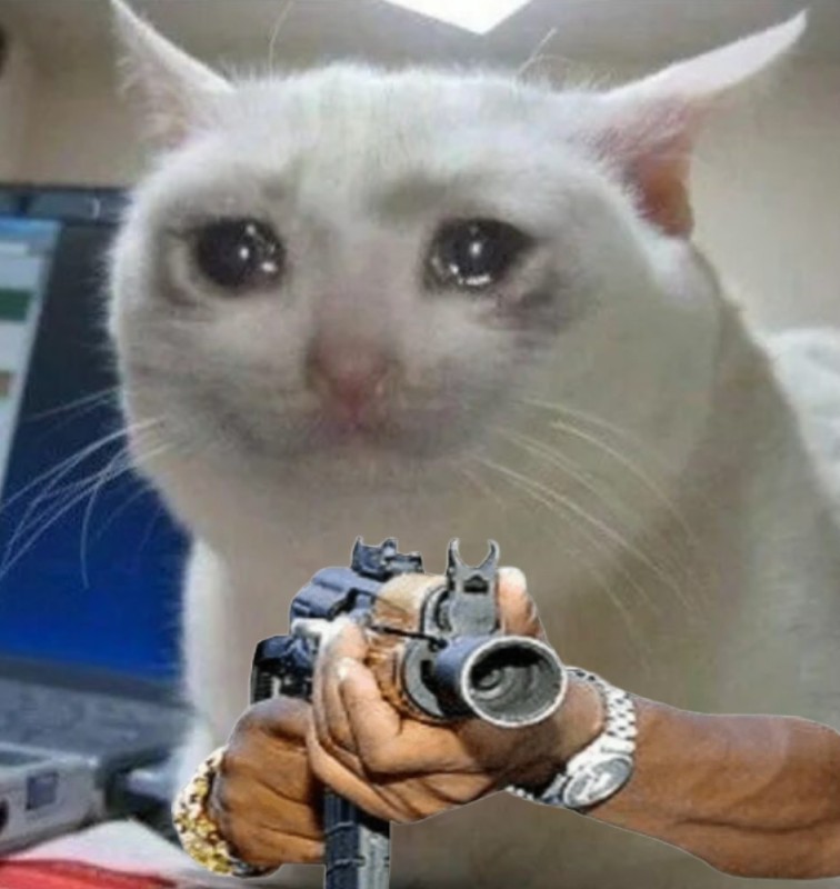 Create meme: cat meme, the cat from the meme, crying cat meme