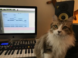 Создать мем: мужик кошка синтезатор араб, cat