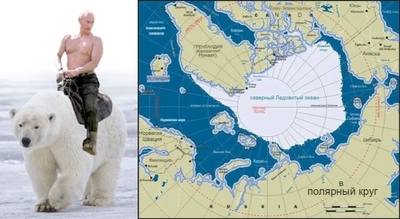Create meme: the Arctic North Pole on the map, The Arctic Circle, the north pole
