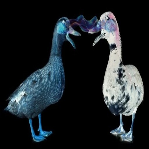 Create meme: the Dodo bird , dodo bird, sarkidiornis melanotos