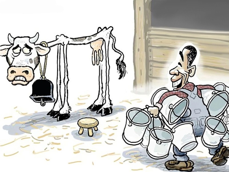 Create meme: cow cartoon, a milked cow caricature, cartoons funny
