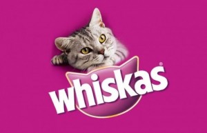 Create meme: Whiskas