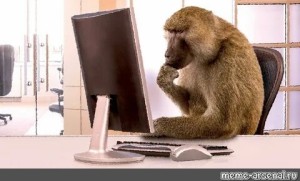 Создать мем: обезьяна за рабочим столом, обезьяна за компом, обезьяна сидит за компьютером