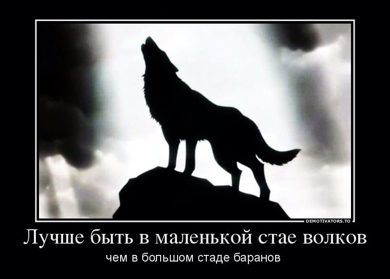 Создать мем: волк вой, воющий волк, цитаты про волков и людей