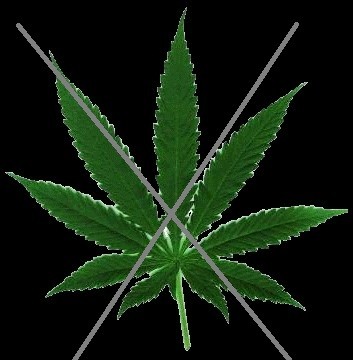Create meme: hemp leaf, marijuana , hemp 