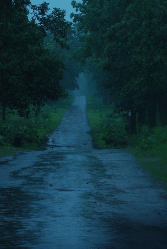 Create meme: rainy road aesthetics, nature , the landscape is gloomy