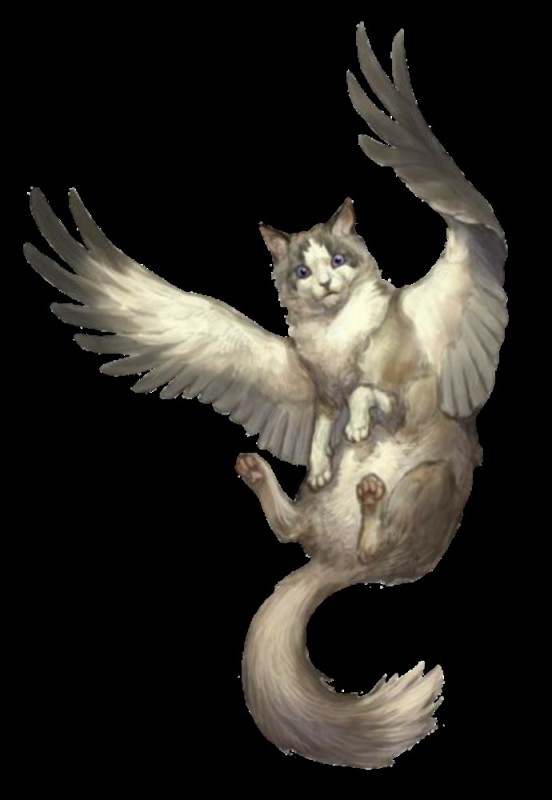 Создать мем: белая кошка с крыльями ангела, крылатые кошки, кот ангел