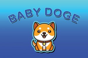 Создать мем: shiba inu, shiba inu криптовалюта, babydogecoin nft