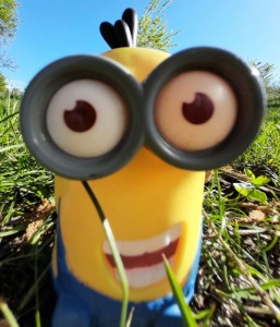 Create meme: minion rush, minions