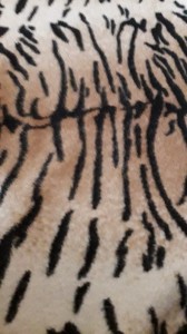 Создать мем: тигр тигровая кожа, мех тигра принт, текстура мех тигра