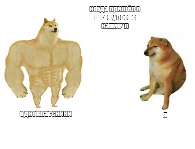 Create meme: shiba inu meme jock, inflated dog meme, the dog is a jock meme