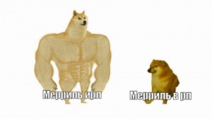 Create meme: inflated dog meme, Jock the dog, Jock the dog and you learn