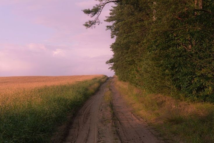 Create meme: road landscape, nature landscape, road in field