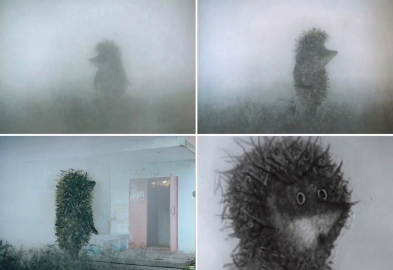 Create meme: hedgehog in the fog, cartoon hedgehog in the fog, hedgehog in the fog meme