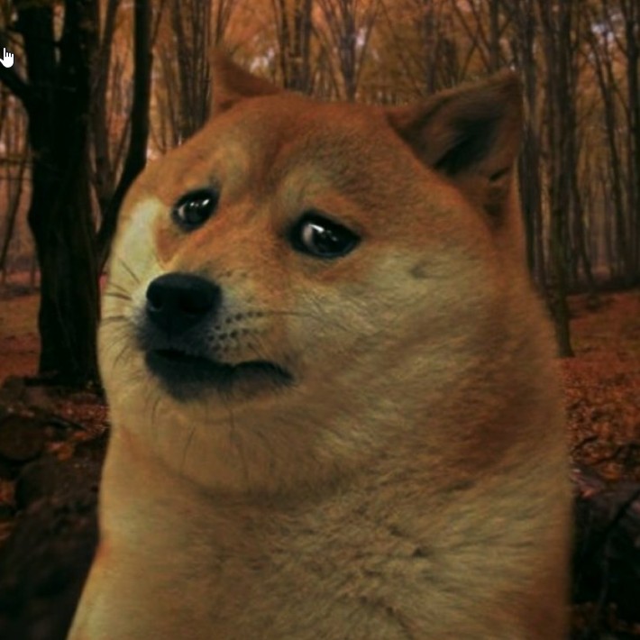 Create meme: dog crying meme, shiba inu meme, meme dog 