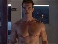 Create meme: Terminator 2: Judgment Day, Arnold Schwarzenegger terminator , the terminator 1984 Arnold Schwarzenegger torso