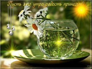 Яндекс Красивые Фото
