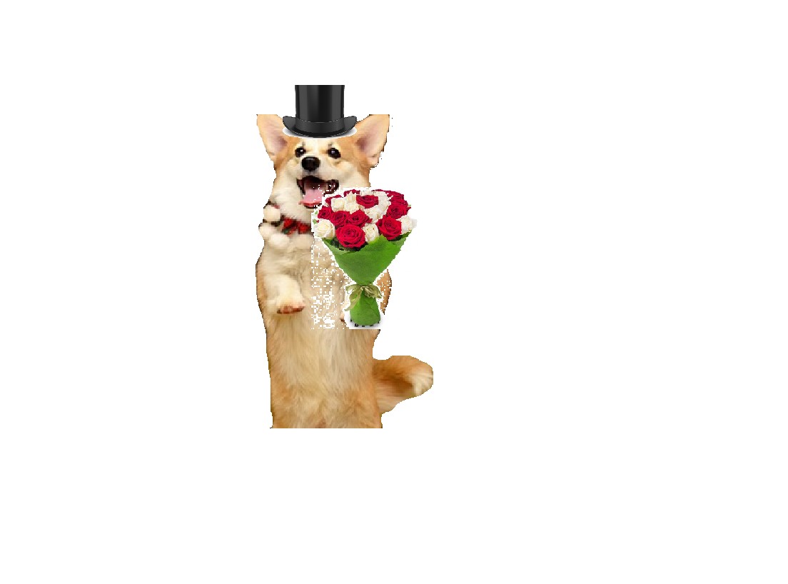 Create Meme Chihuahua Pet Ghost Dog Pictures Meme Arsenalcom