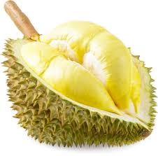 Create meme: durian, durian durian, durian civet