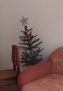 Create meme: the decoration of the Christmas tree, Christmas tree, tree