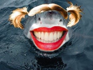 Create meme: shark, shark with human teeth, shark jaws